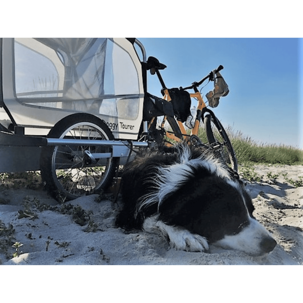 Dog bike trailer sales