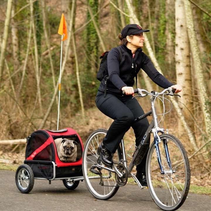 Dutch dog trailer online