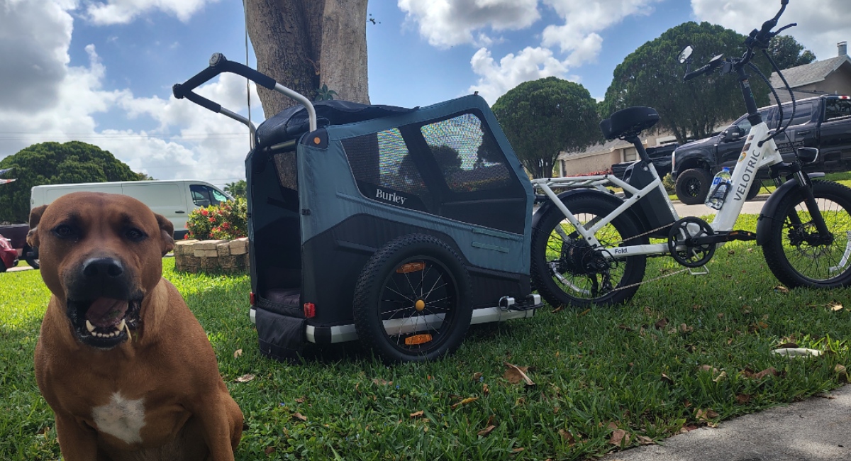 Best Dog Bike Trailers for Large Dogs | UK Guide