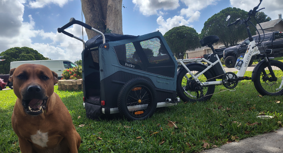 Best Dog Bike Trailers for Large Dogs | UK Guide