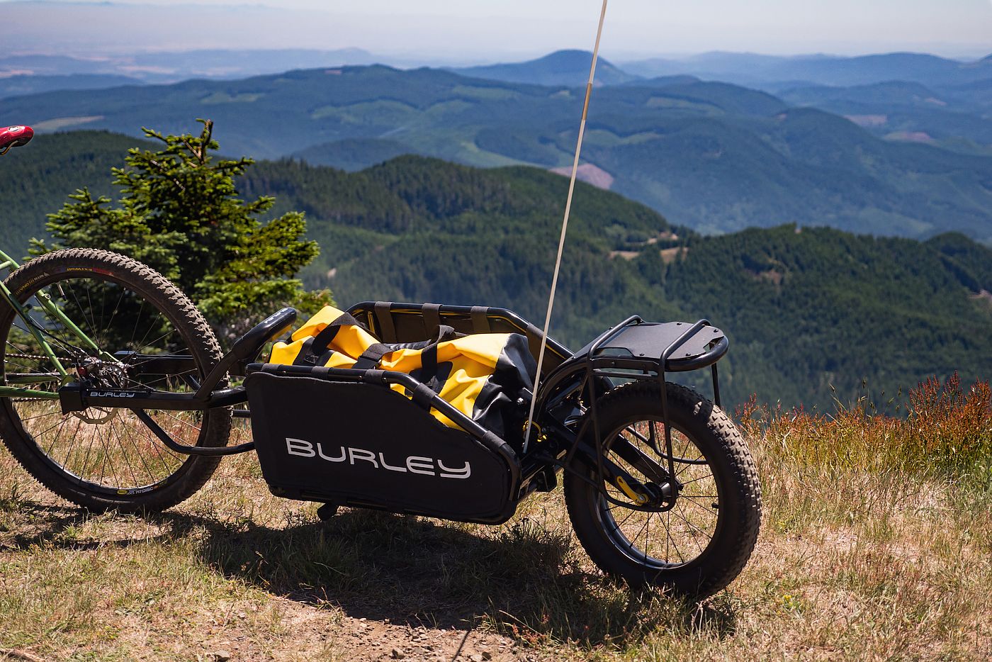 Best Cargo Bike Trailers for Bikepacking, Camping and Commuting