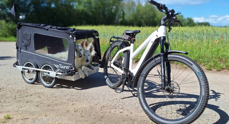 Doggy Tourer Beethoven Trailer