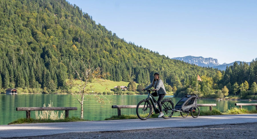 Qeridoo Child Bike Trailer in Nature