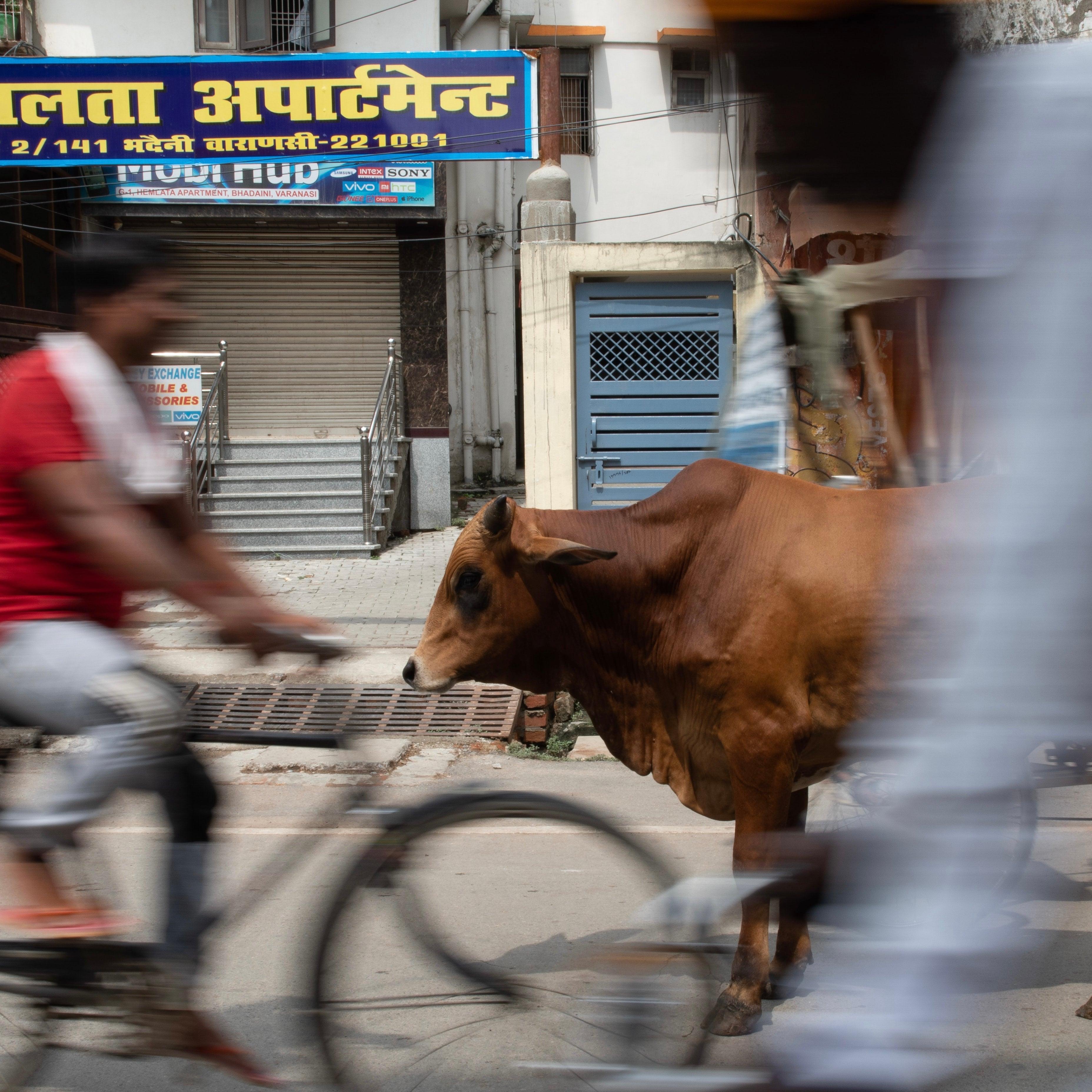 A Passage to India - with a bike