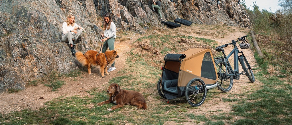 Can You Use a Dog Bike Trailer with an E-Bike? Compatibility, Axles & Safety Explained