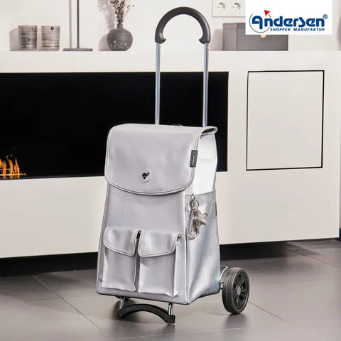 112-234-20 - Andersen Scala Frame - Abbo Bag Bag - Silver/Grey - hero - Hitch A Bike