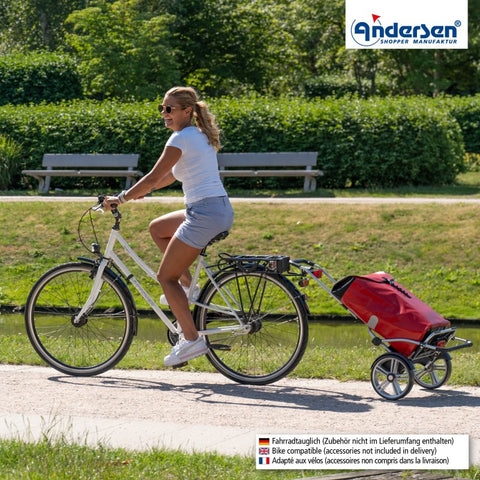 147-082-14 | Andersen Royal Plus Frame | Ortlieb Bag Bag | Yellow | gallery 4 | Hitch A Bike