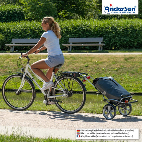 147-082-14 | Andersen Royal Plus Frame | Ortlieb Bag Bag | Yellow | gallery 5 | Hitch A Bike
