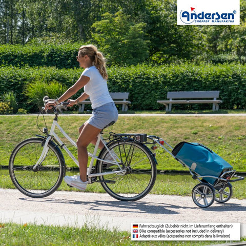 147-082-14 | Andersen Royal Plus Frame | Ortlieb Bag Bag | Yellow | gallery 6 | Hitch A Bike