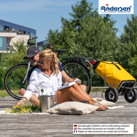 162-082-14 | Andersen Royal Frame | Ortlieb Bag Bag | Yellow | hero | Hitch A Bike