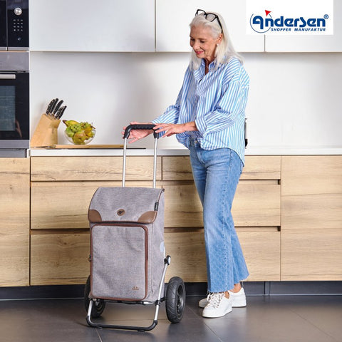 162-231-20 | Andersen Royal Frame | Holk Bag Bag | Silver/Grey | hero | Hitch A Bike