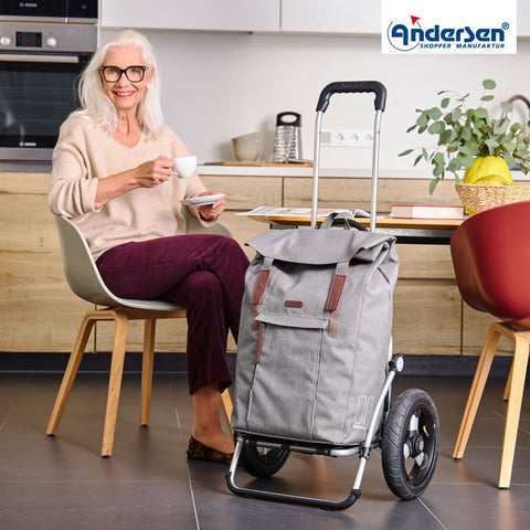 162-240-20 | Andersen Royal Frame | Basil City Bag Bag | Silver/Grey | hero | Hitch A Bike