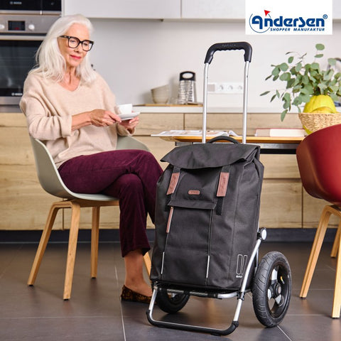 162-240-20 | Andersen Royal Frame | Basil City Bag Bag | Silver/Grey | gallery 4 | Hitch A Bike