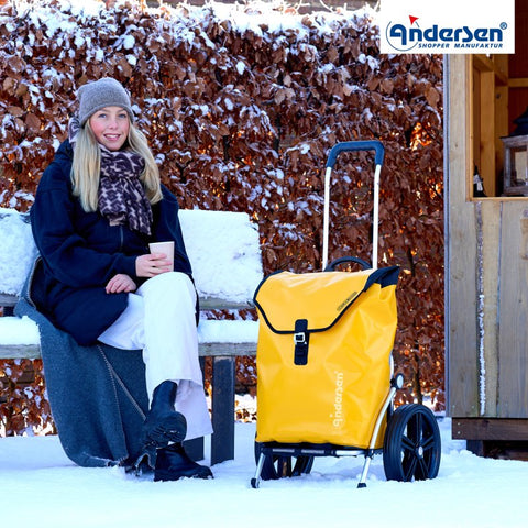 164-082-14 | Andersen Royal Frame | Ortlieb Bag Bag | Yellow | hero | Hitch A Bike
