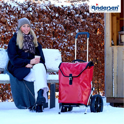 164-082-14 | Andersen Royal Frame | Ortlieb Bag Bag | Yellow | gallery 4 | Hitch A Bike