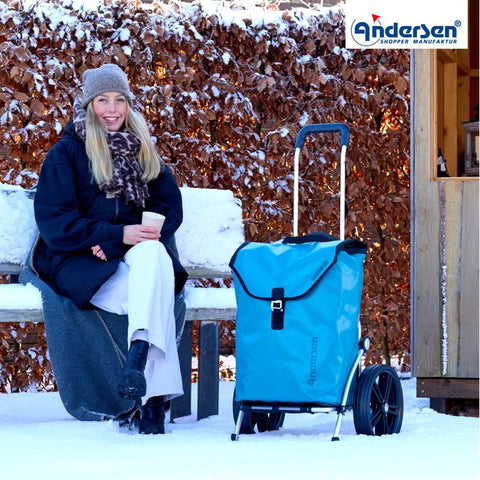 164-082-14 | Andersen Royal Frame | Ortlieb Bag Bag | Yellow | gallery 6 | Hitch A Bike