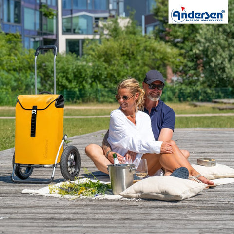 165-082-14 | Andersen Royal Frame | Ortlieb Bag Bag | Yellow | hero | Hitch A Bike