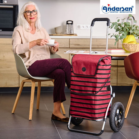 165-238-70 | Andersen Royal Frame | Jelke Bag Bag | Red | hero | Hitch A Bike