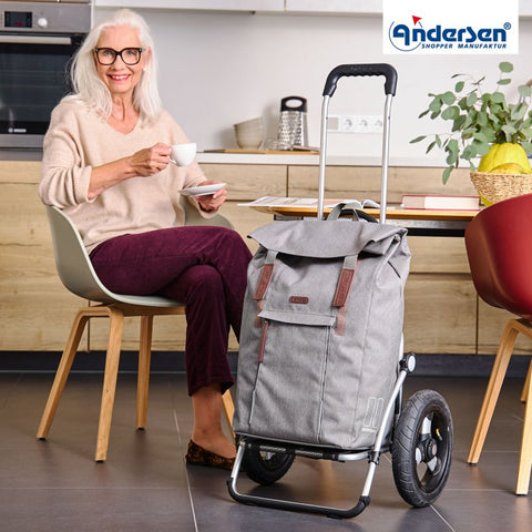 165-240-20 | Andersen Royal Frame | Basil City Bag Bag | Silver/Grey | hero | Hitch A Bike