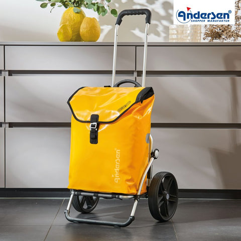 166-082-14 | Andersen Royal Frame | Ortlieb Bag Bag | Yellow | hero | Hitch A Bike