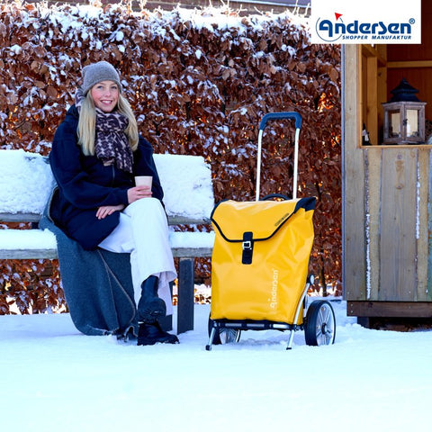 167-082-14 | Andersen Royal Frame | Ortlieb Bag Bag | Yellow | hero | Hitch A Bike