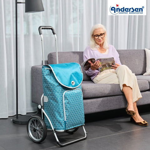 168-174-81 | Andersen Royal Frame | Famke Bag Bag | Black | gallery 4 | Hitch A Bike