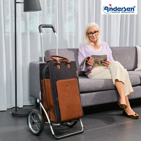 168-205-41 | Andersen Royal Frame | Charu Bag Bag | Brown | hero | Hitch A Bike