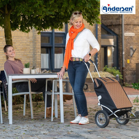 168-227-40 | Andersen Royal Frame | Inra Bag Bag | Beige | hero | Hitch A Bike