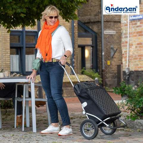 168-227-40 | Andersen Royal Frame | Inra Bag Bag | Beige | gallery 4 | Hitch A Bike