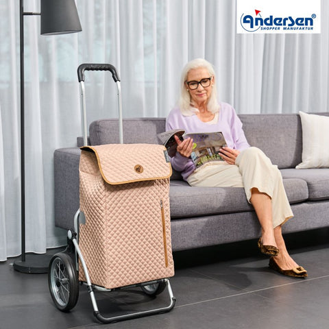 168-232-40 | Andersen Royal Frame | Lissa Bag Bag | Beige | hero | Hitch A Bike