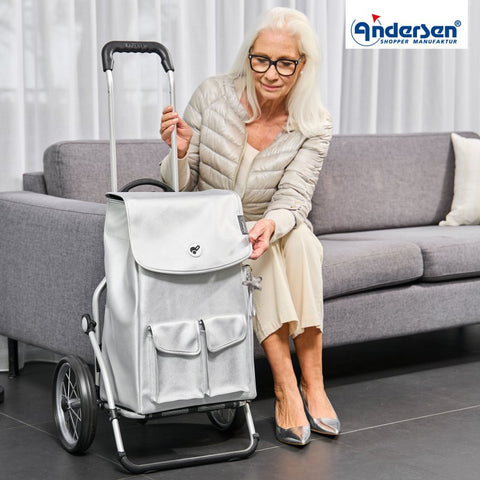 168-234-20 | Andersen Royal Frame | Abbo Bag Bag | Silver/Grey | hero | Hitch A Bike