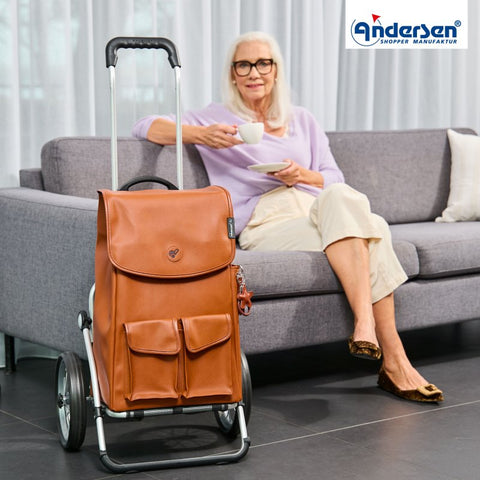 168-234-20 | Andersen Royal Frame | Abbo Bag Bag | Silver/Grey | gallery 4 | Hitch A Bike