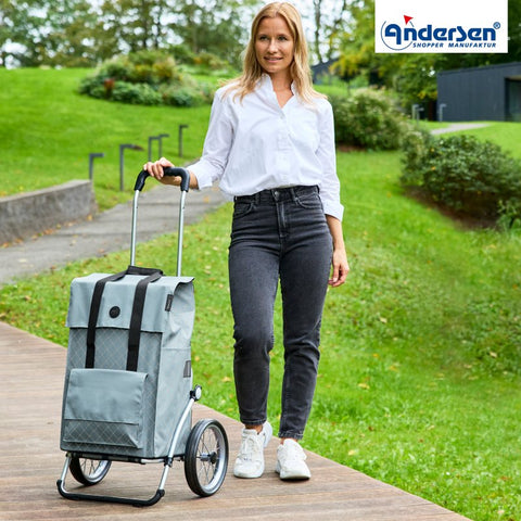 168-239-80 | Andersen Royal Frame | Lisa Bag Bag | Black | gallery 4 | Hitch A Bike