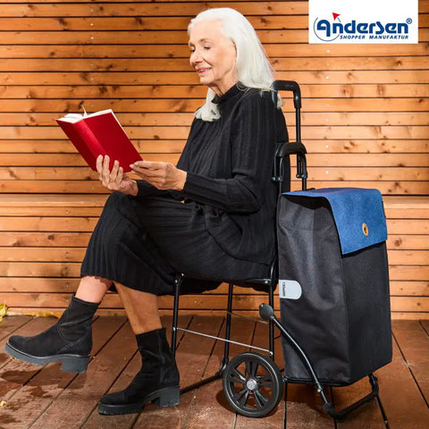 198-004-44 - Andersen Komfort Frame - Hera Bag Bag - Sand - gallery 6 - Hitch A Bike