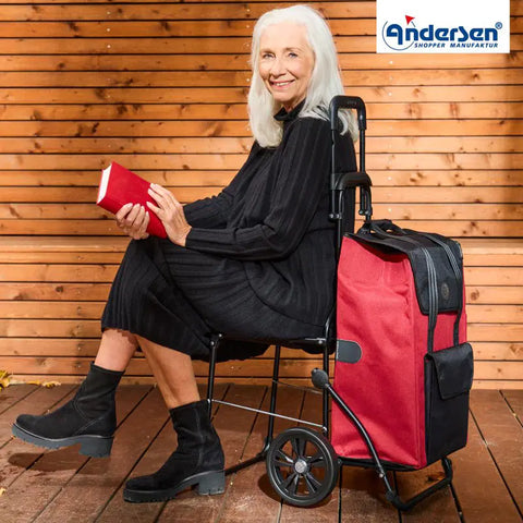 198-028-42 - Andersen Komfort Frame - Senta 2.0 Bag Bag - Sand - gallery 4 - Hitch A Bike