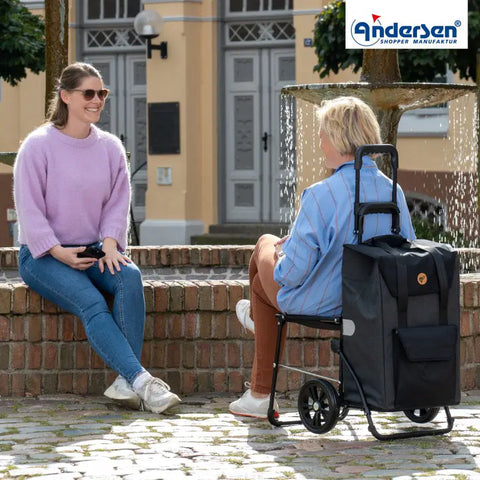 198-028-42 - Andersen Komfort Frame - Senta 2.0 Bag Bag - Sand - gallery 5 - Hitch A Bike