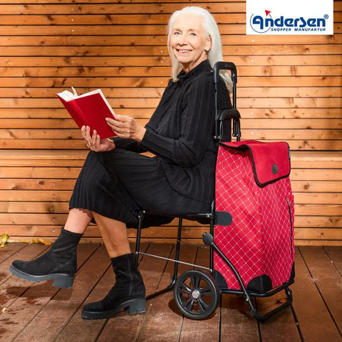 198-202-70 - Andersen Komfort Frame - Sofia Bag Bag - Red - hero - Hitch A Bike