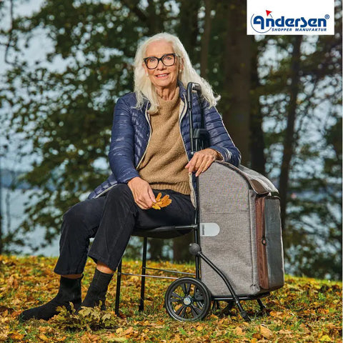198-231-20 - Andersen Komfort Frame - Holk Bag Bag - Silver/Grey - hero - Hitch A Bike