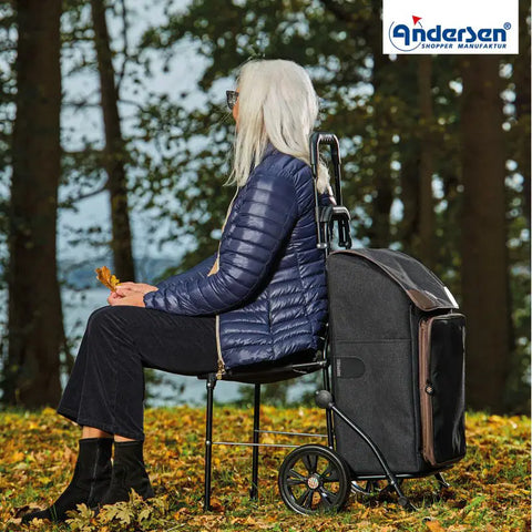 198-231-20 - Andersen Komfort Frame - Holk Bag Bag - Silver/Grey - gallery 4 - Hitch A Bike