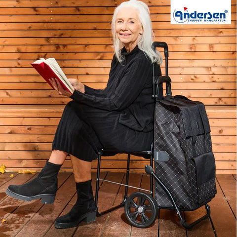 198-239-80 - Andersen Komfort Frame - Lisa Bag Bag - Black - hero - Hitch A Bike
