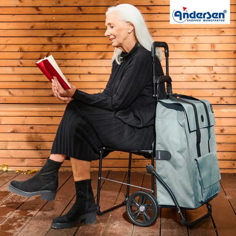 198-239-80 - Andersen Komfort Frame - Lisa Bag Bag - Black - gallery 4 - Hitch A Bike