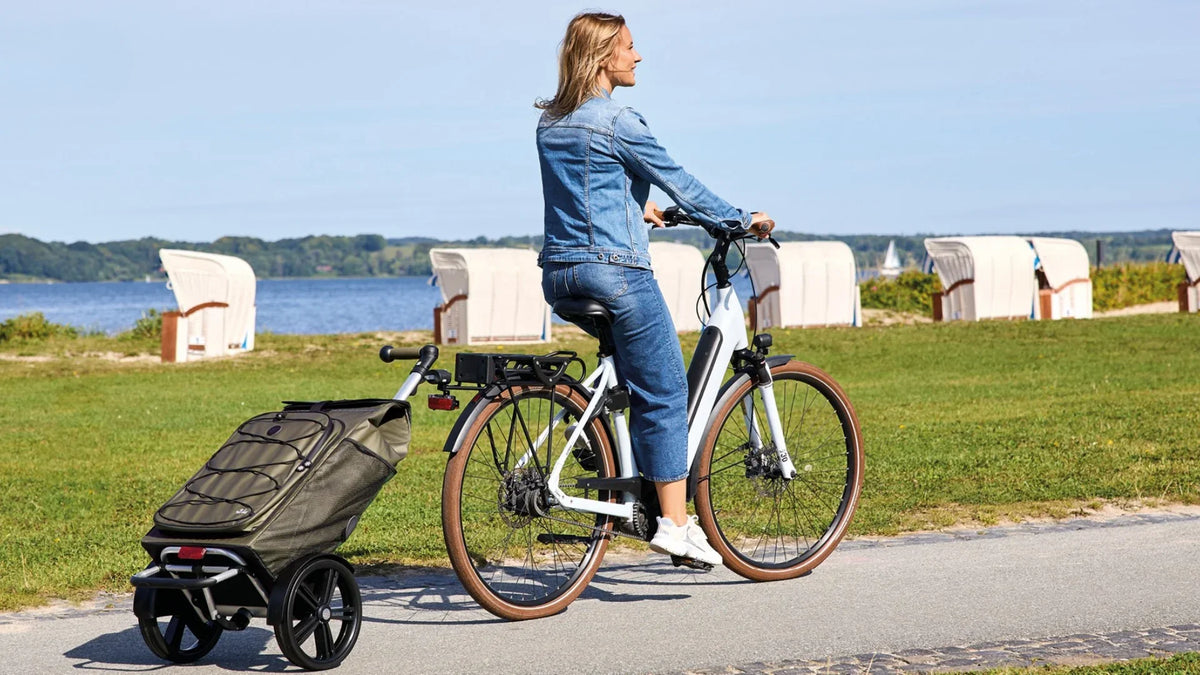 <em>Andersen Shopper</em> — This is everyday utility cycling at its best