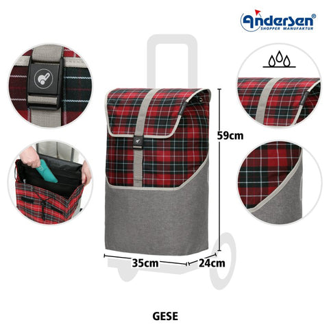 168-216-50 | Andersen Royal Frame | Gese Bag Bag | Green | gallery 6 | Hitch A Bike