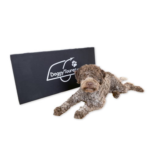 Doggy Tourer Dog Bike Trailer | DoggyPad