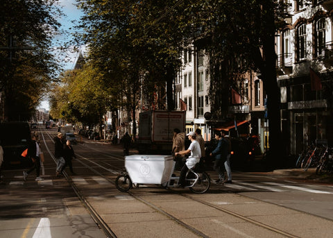 Urban Arrow - Urban Arrow Business Electric Cargo Bike | Front-Loader | Large - - Hitch A Bike - {{ shop.shopifyCountryName }}