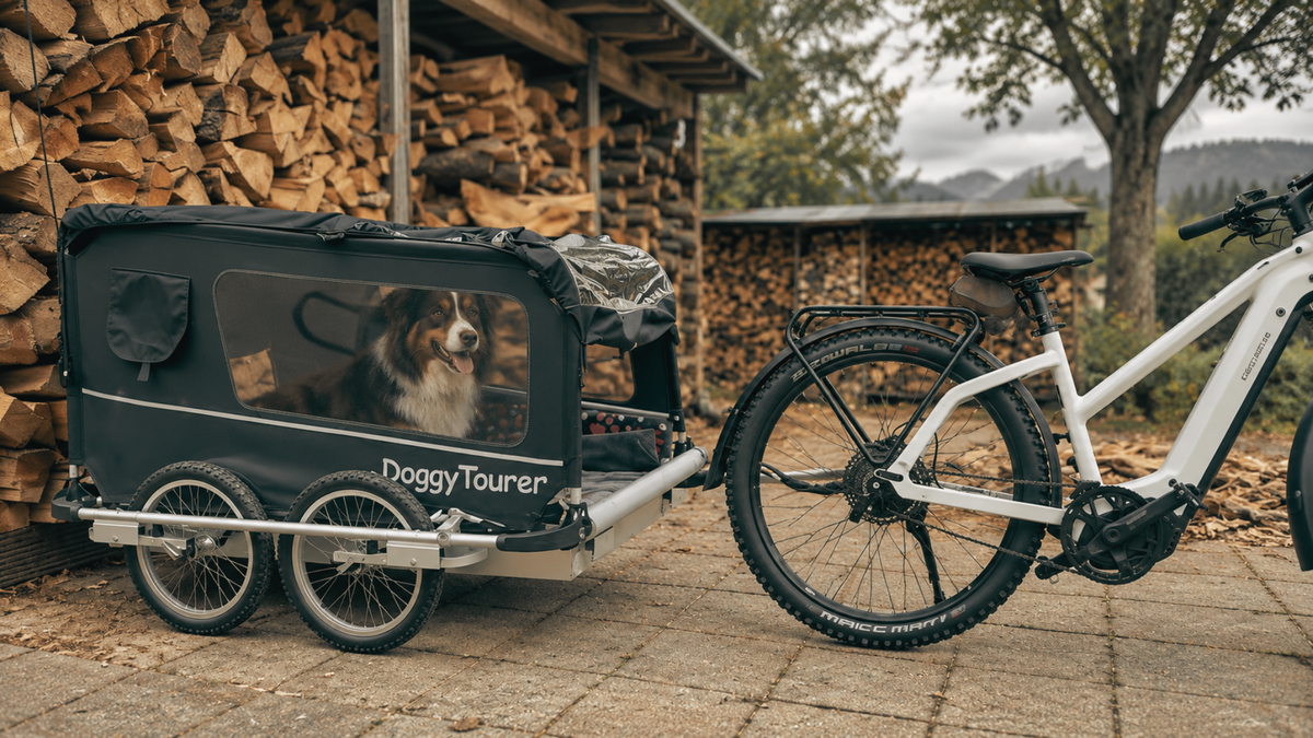 Doggy Tourer