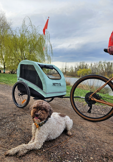 Petrive Active ONE | Dog Bike Trailer | Turquoise