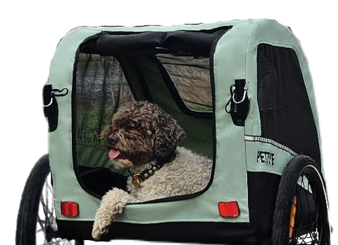 Petrive Active ONE | Dog Bike Trailer | Turquoise