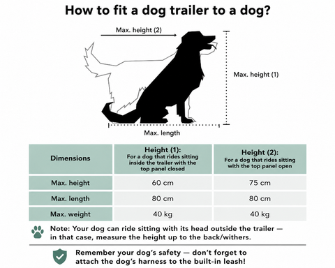 Petrive Active ONE | Dog Bike Trailer | Turquoise