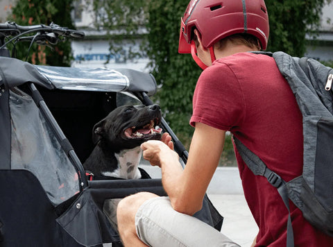 The AddBike+ Carry'Dog Kit Dog Bike Trailer | Front Mounted